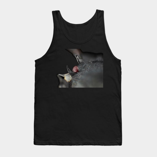 Halyomorpha halys nymph eye Tank Top by SDym Photography